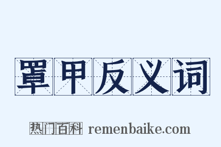 罩甲反义词是什么意思的图片